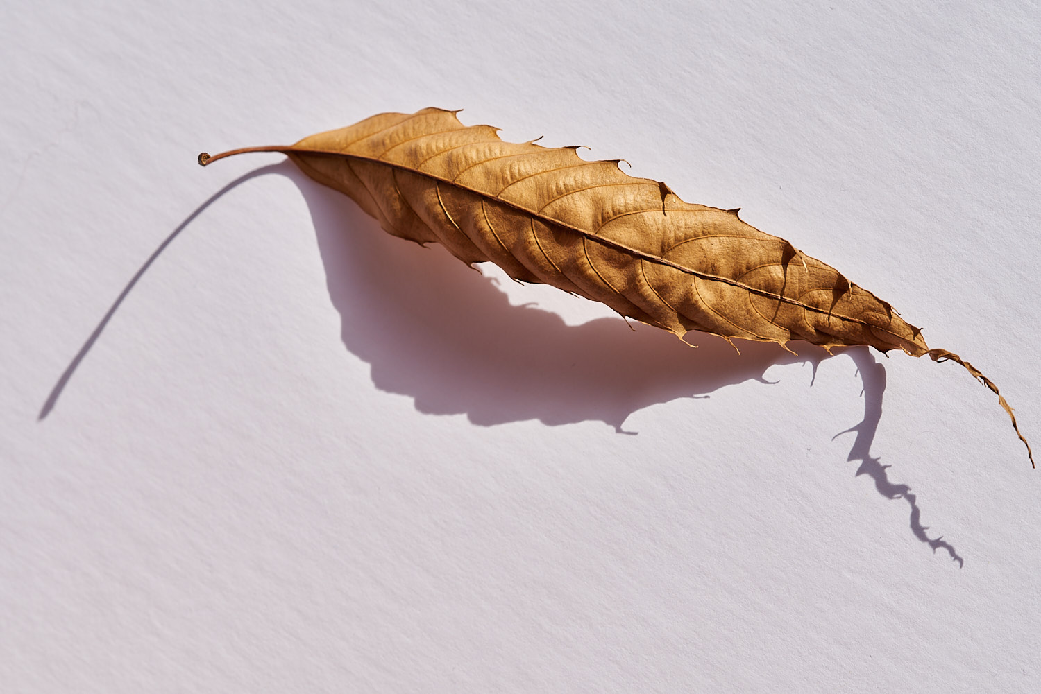 Abstract Color Photography