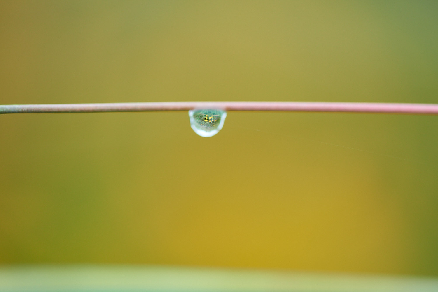 Abstract Color Photography