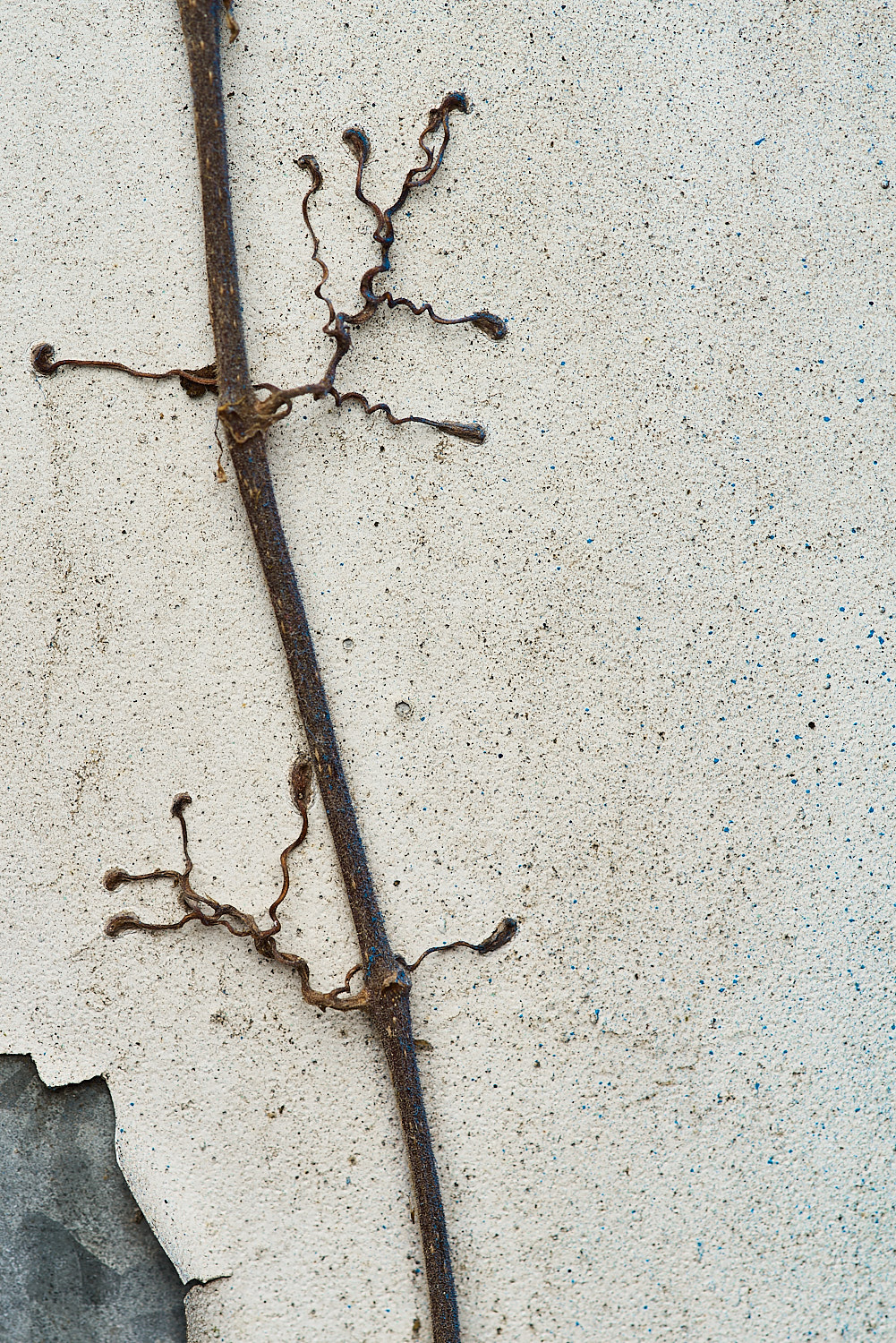 Abstract Color Photography