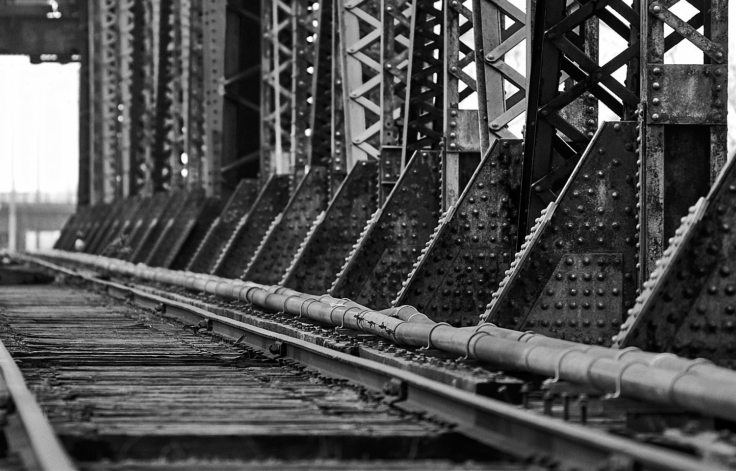 Black and White Photography