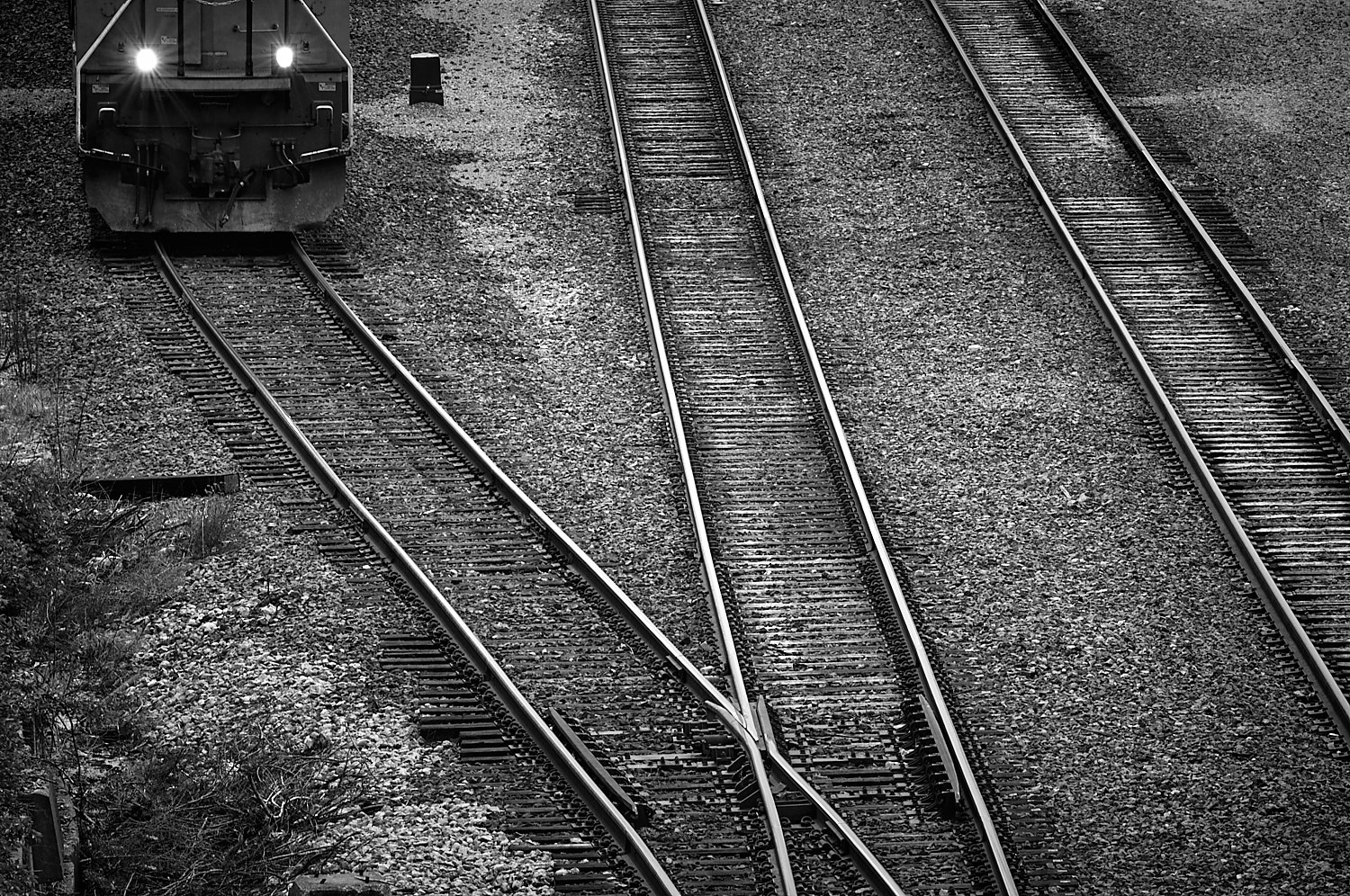 Black and White Photography