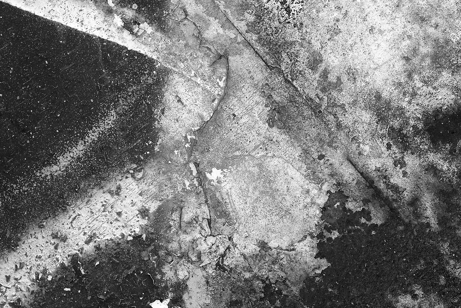 Black and White Photography