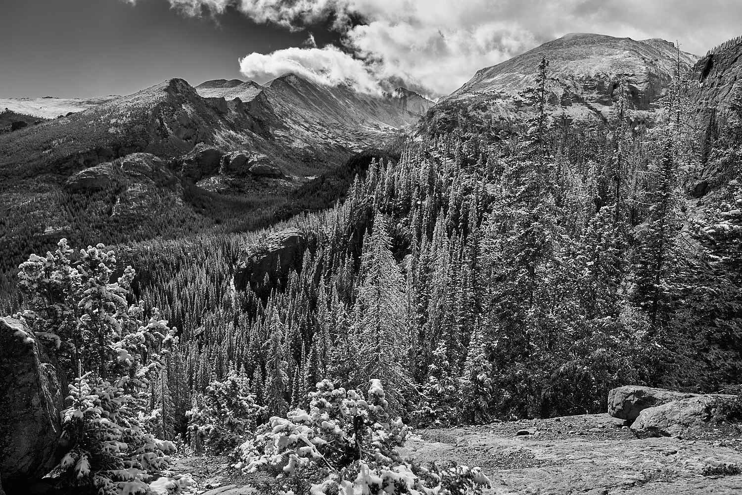 Black and White Photography