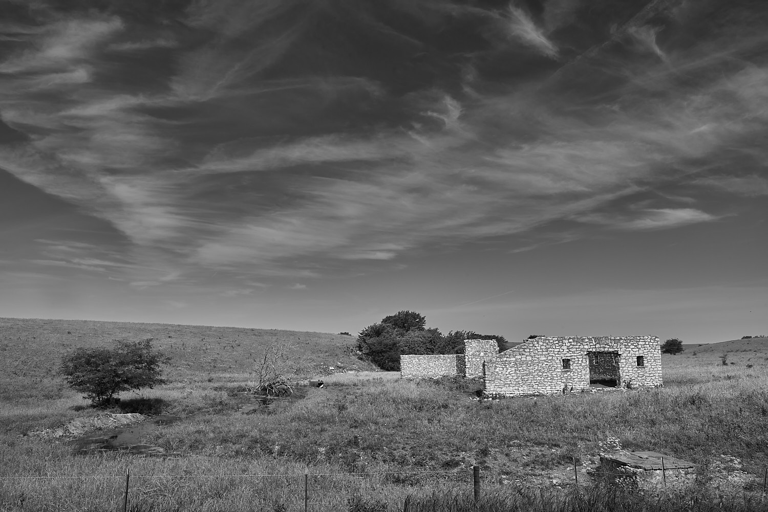 Black and White Photography