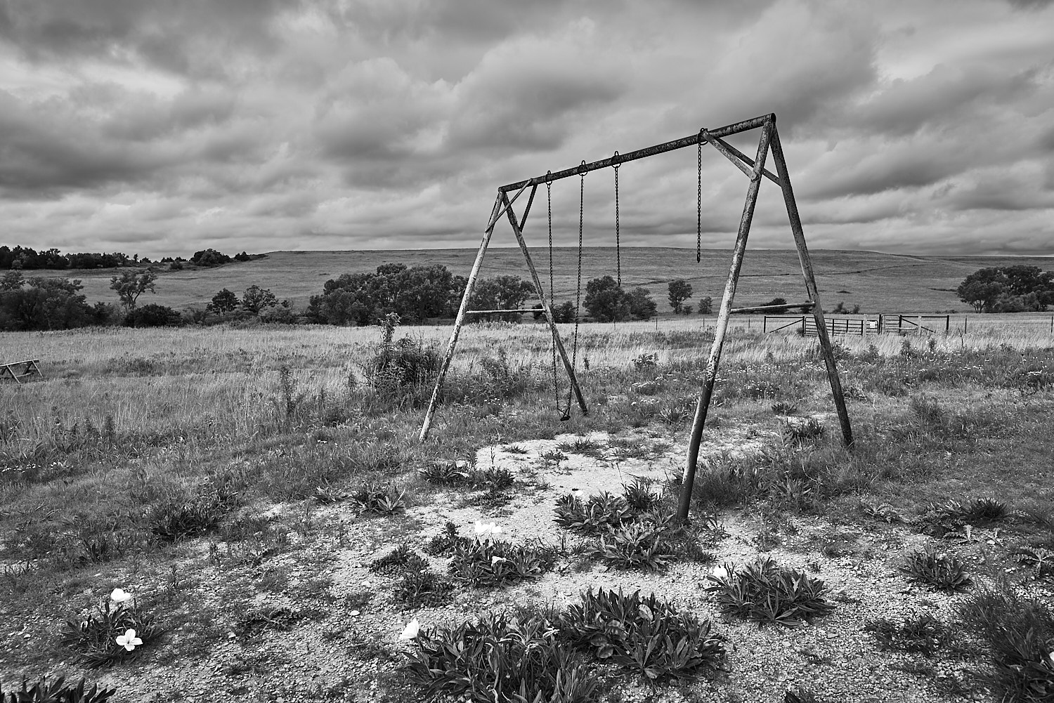 Black and White Photography