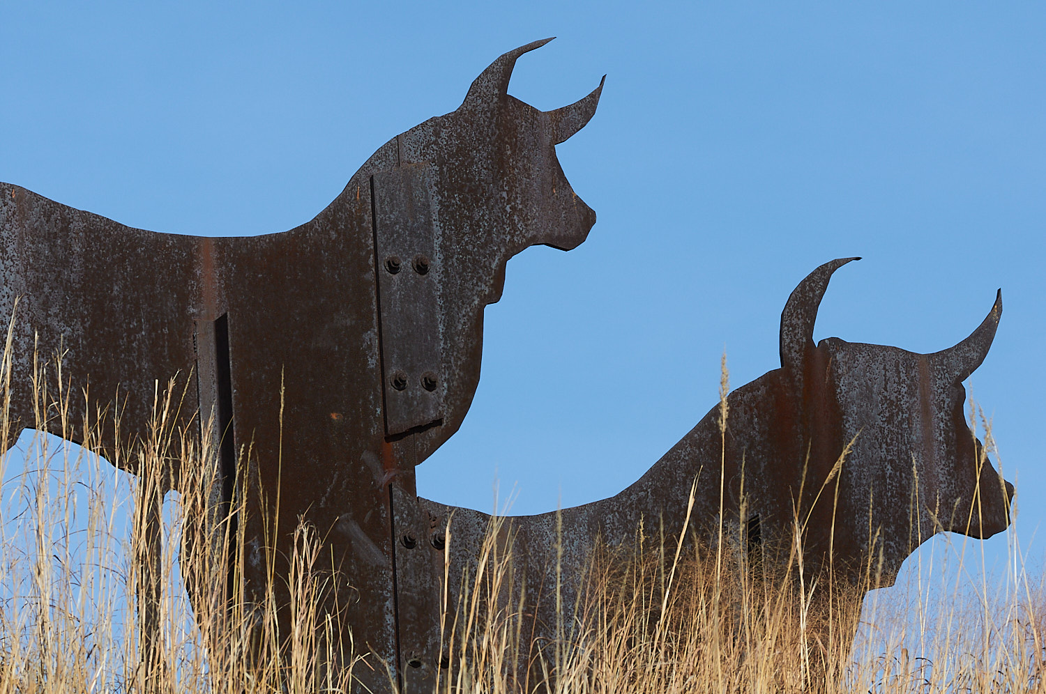 Kansas City Photography Scenes