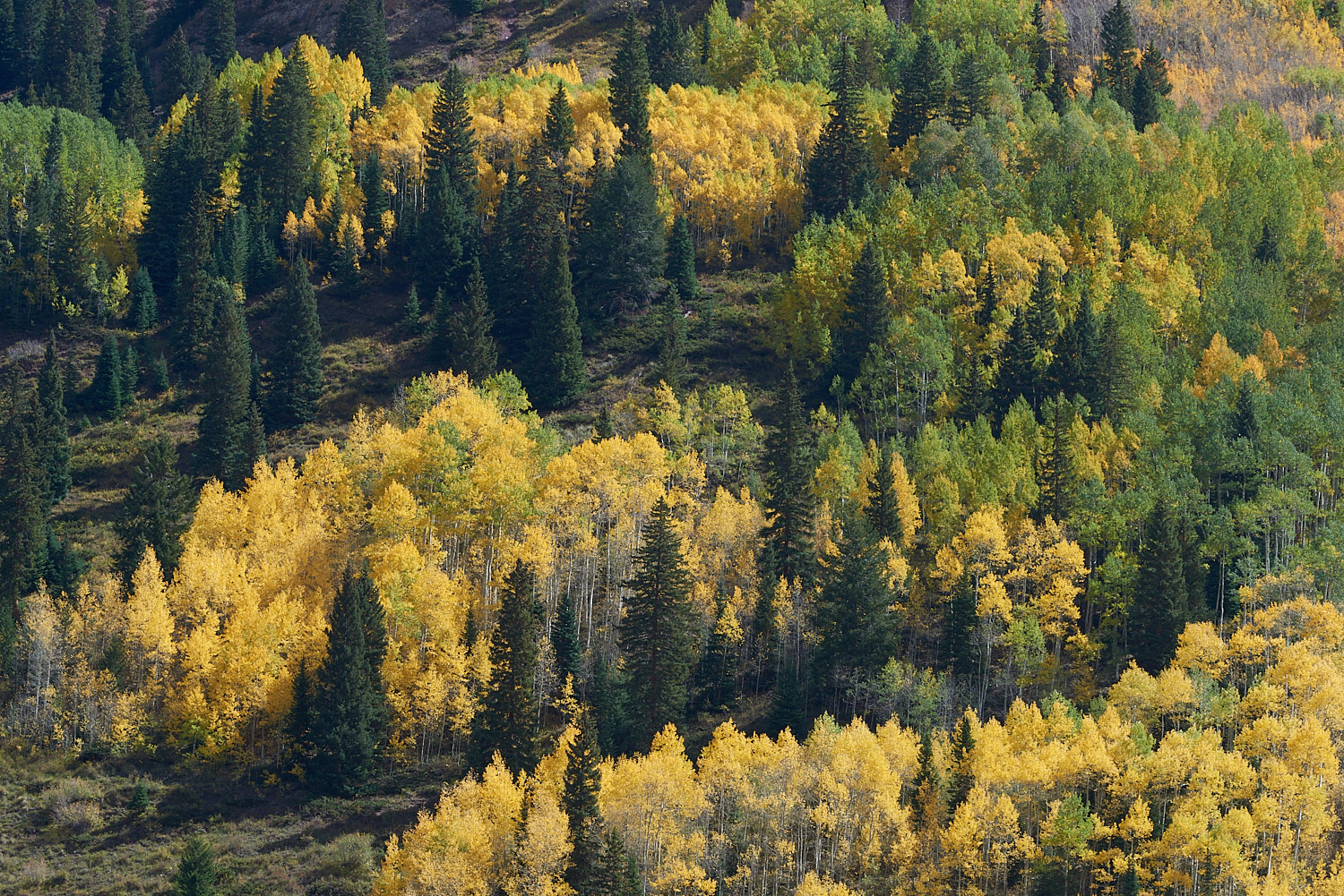 Landscape Color Photography