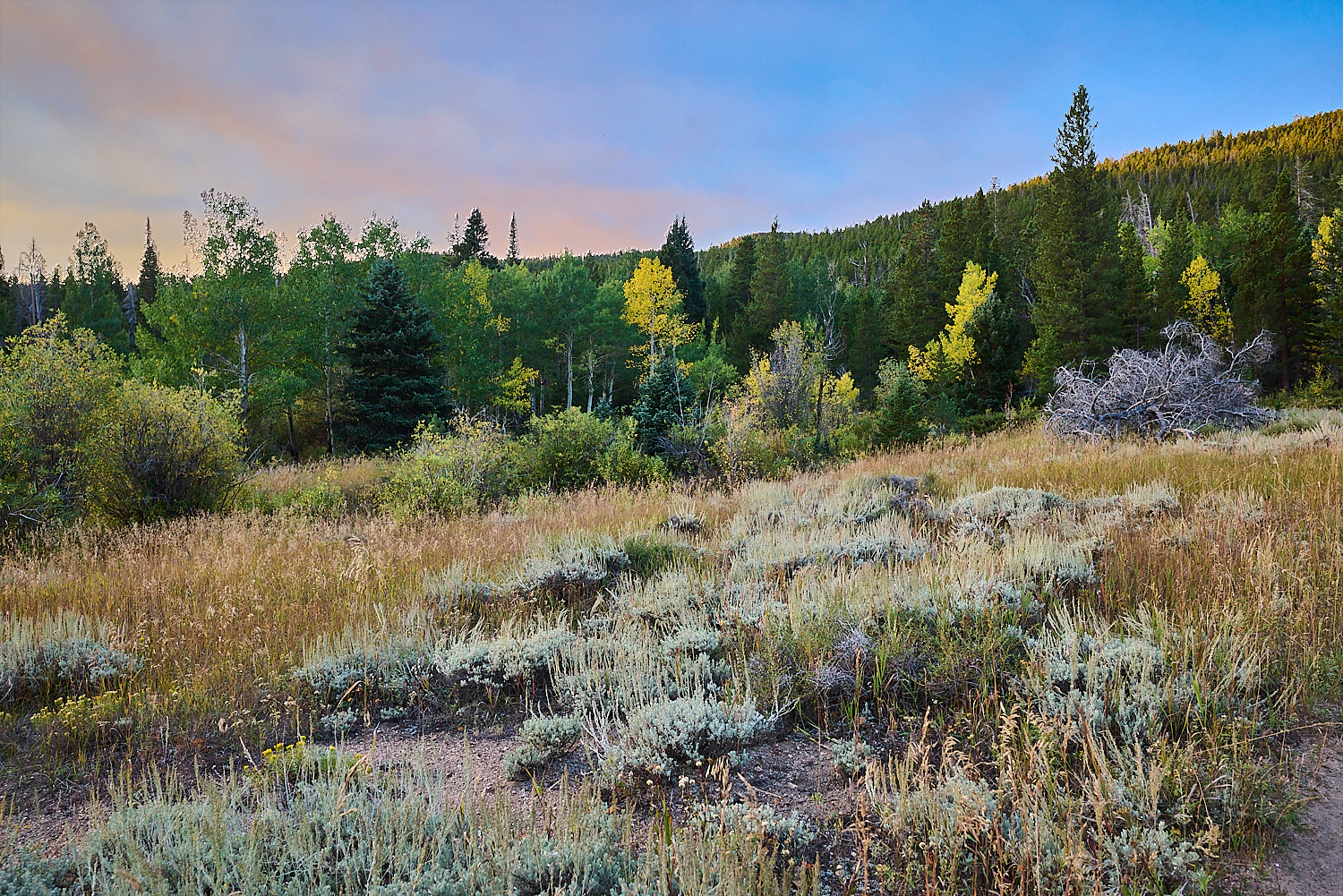 Landscape Color Photography