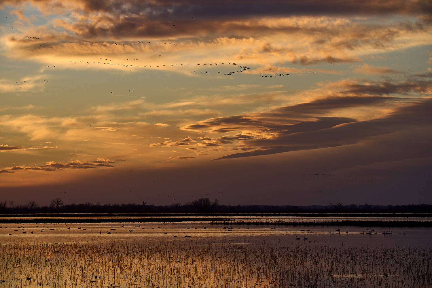 Beautiful Loess Bluffs wetlands at sunset.
